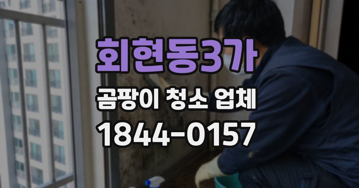 회현동3가 곰팡이 청소 업체