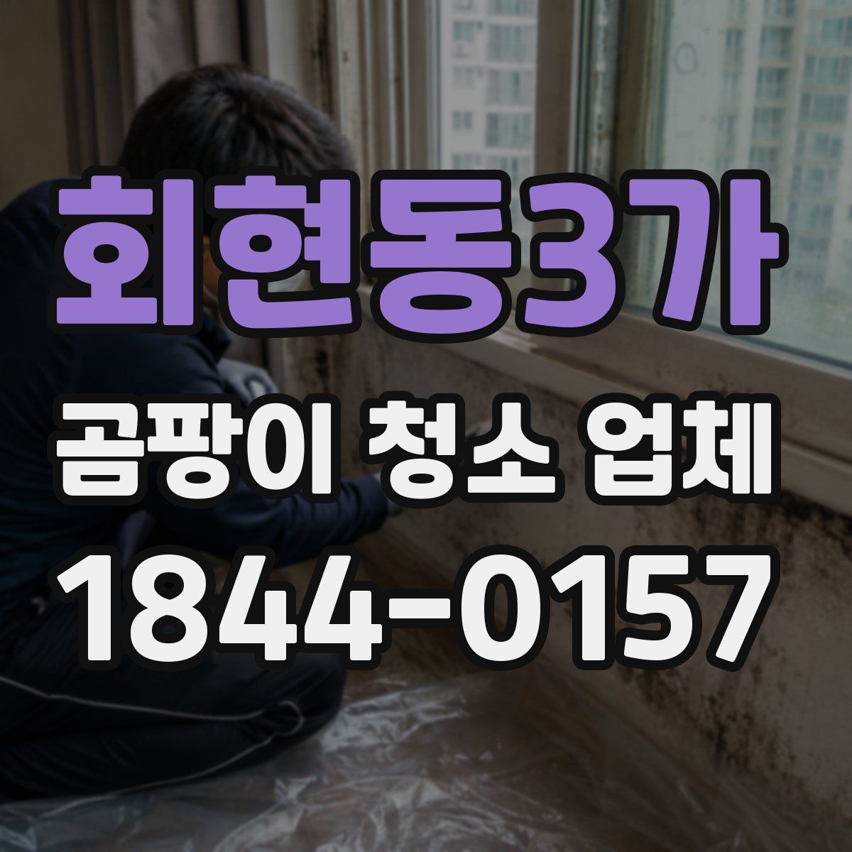 회현동3가 곰팡이 청소 업체