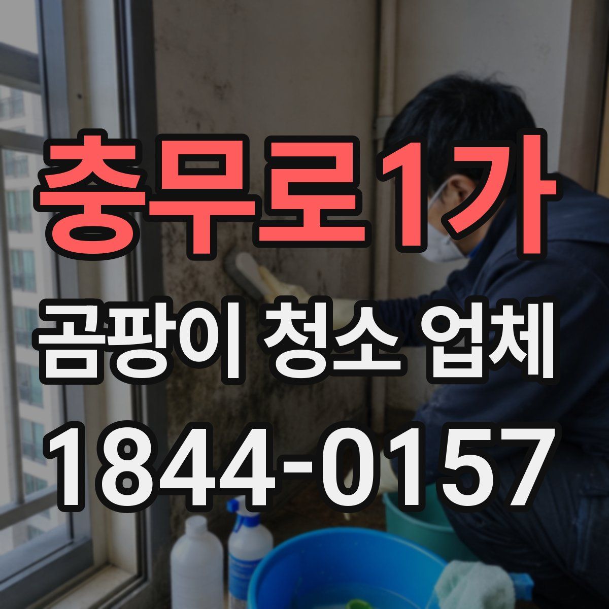 충무로1가 곰팡이 청소 업체