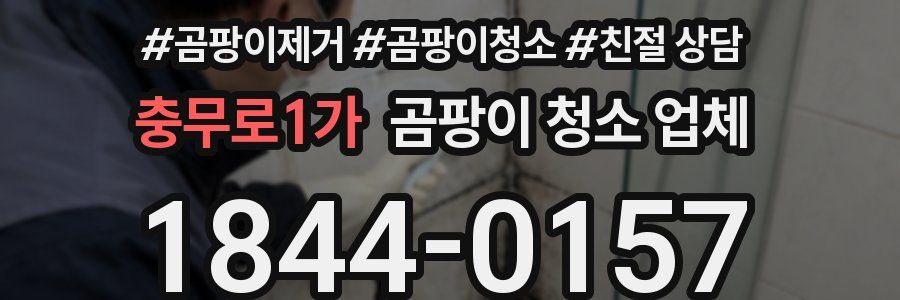 충무로1가 곰팡이 청소 업체