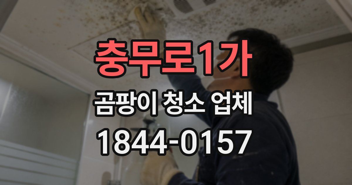 충무로1가 곰팡이 청소 업체
