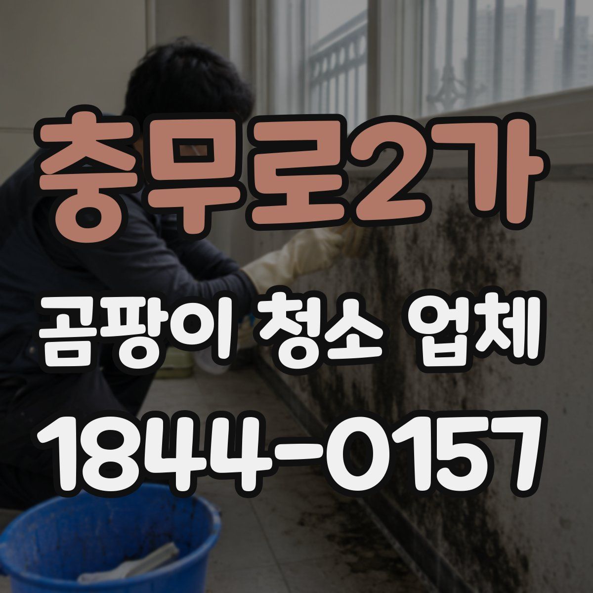 충무로2가 곰팡이 청소 업체
