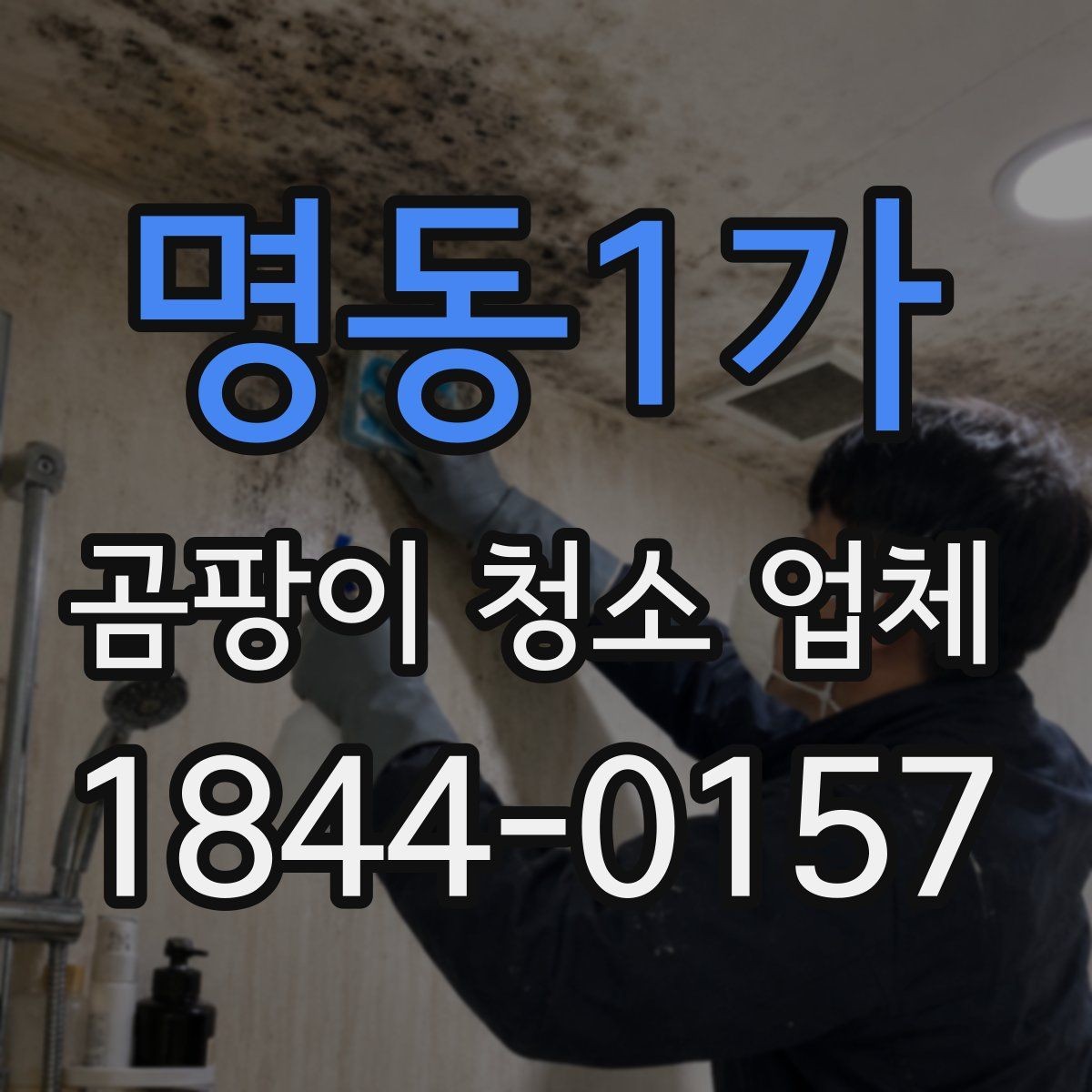 명동1가 곰팡이 청소 업체 비교 시 서비스 항목 살펴보기