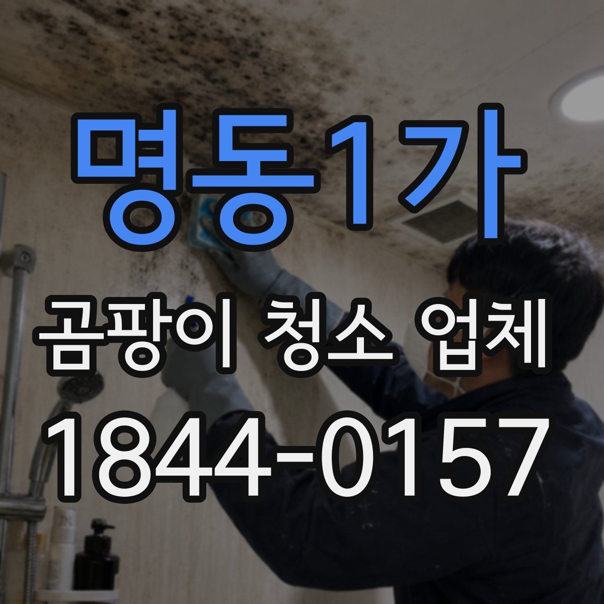 명동1가 곰팡이 청소 업체