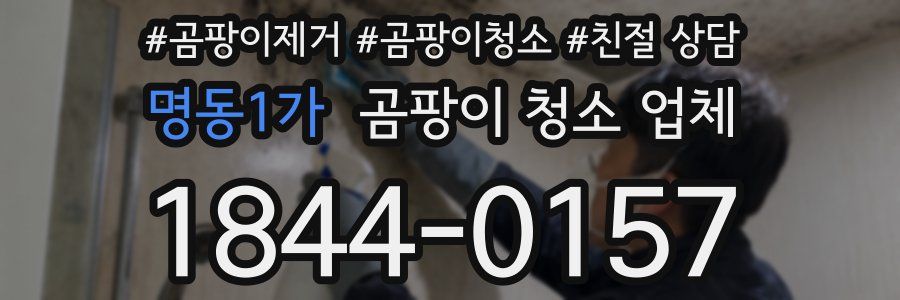 명동1가 곰팡이 청소 업체