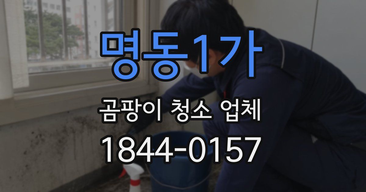 명동1가 곰팡이 청소 업체
