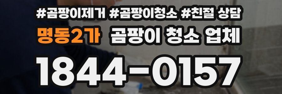 명동2가 곰팡이 청소 업체