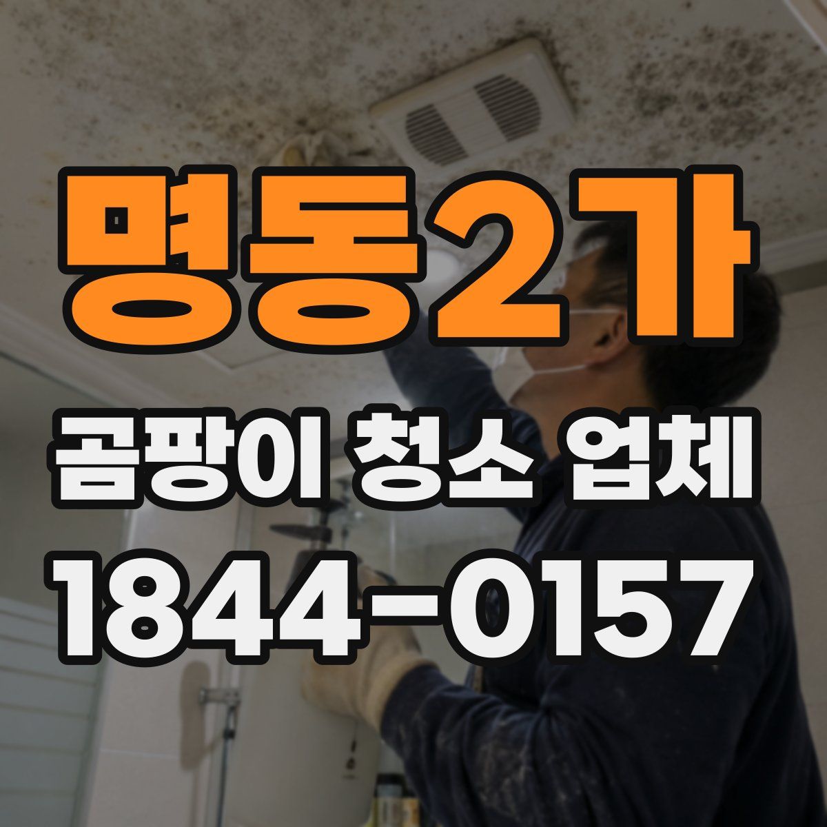 명동2가 곰팡이 청소 업체
