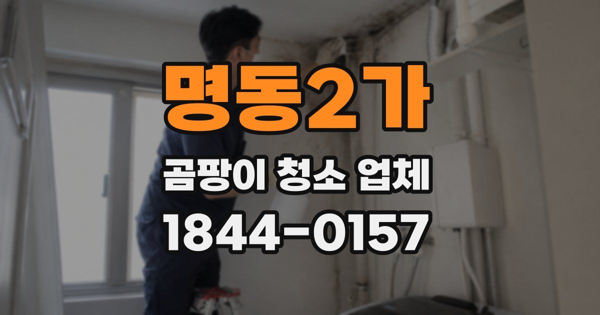 명동2가 곰팡이 청소 업체