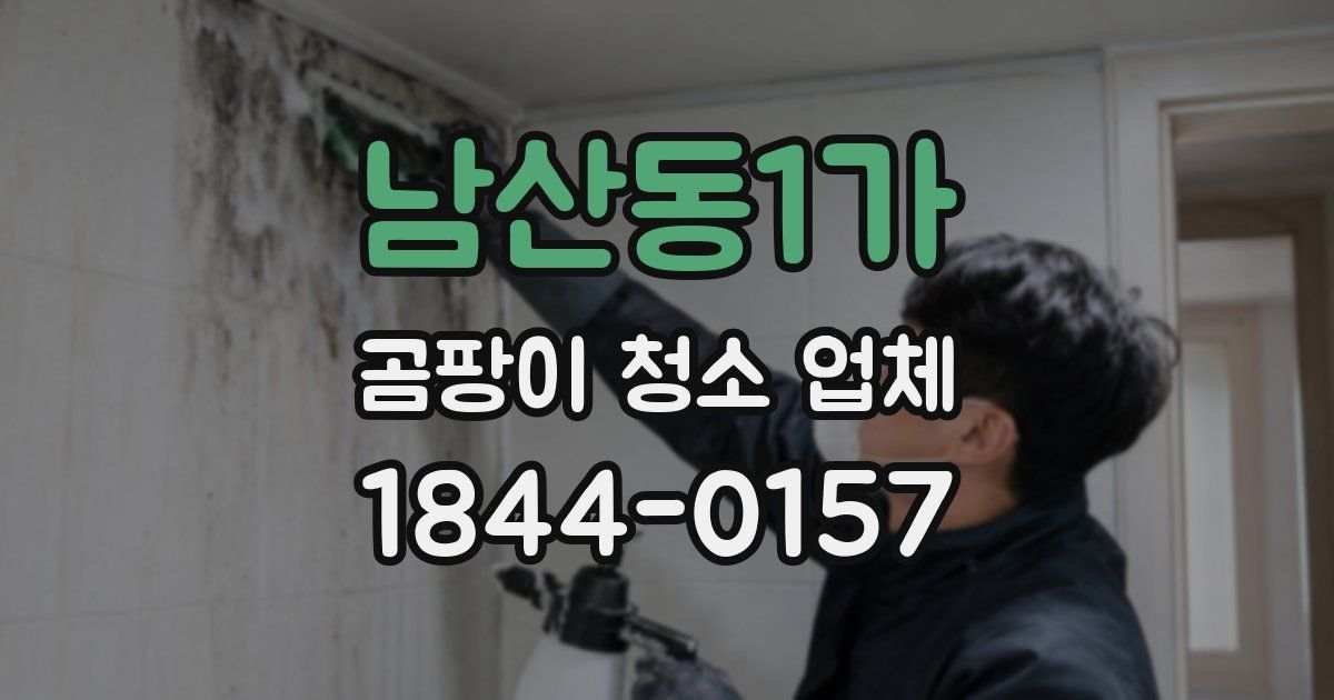 남산동1가 곰팡이 청소 업체