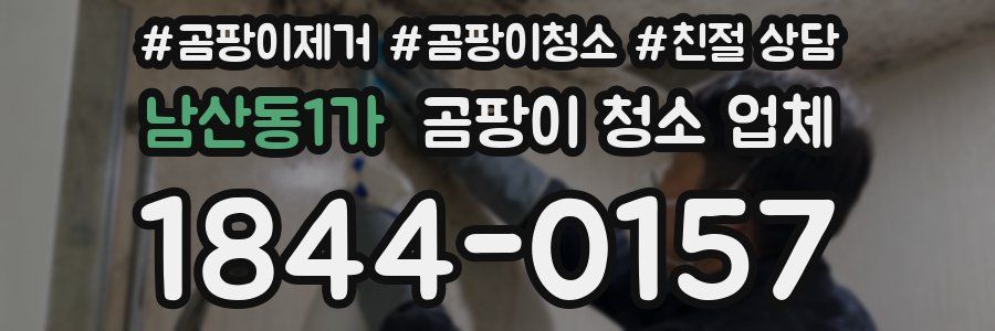 남산동1가 곰팡이 청소 업체