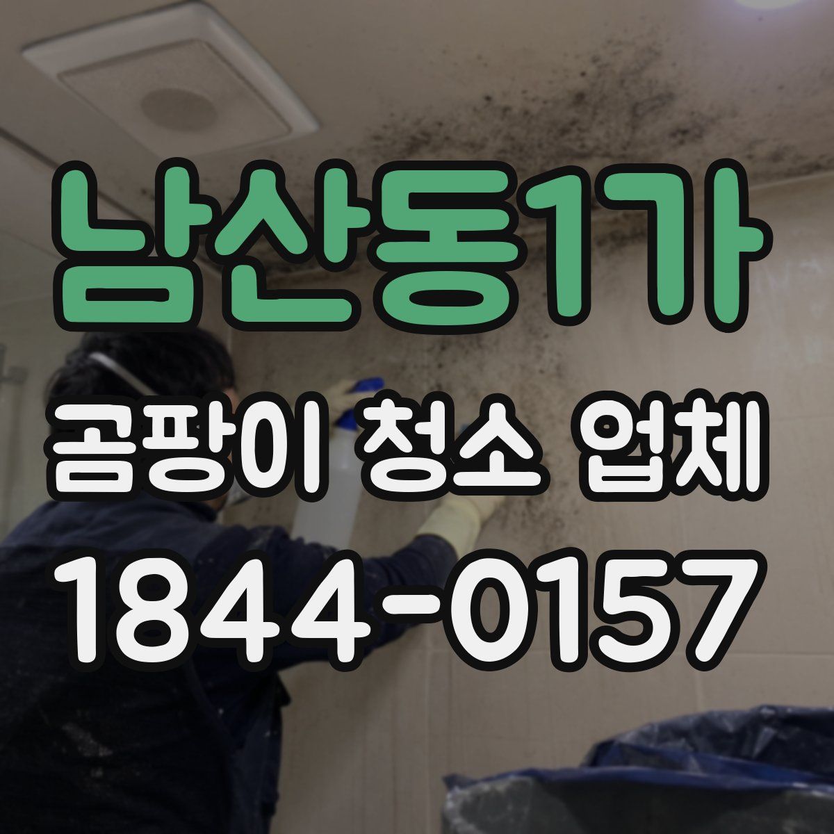 남산동1가 곰팡이 청소 업체