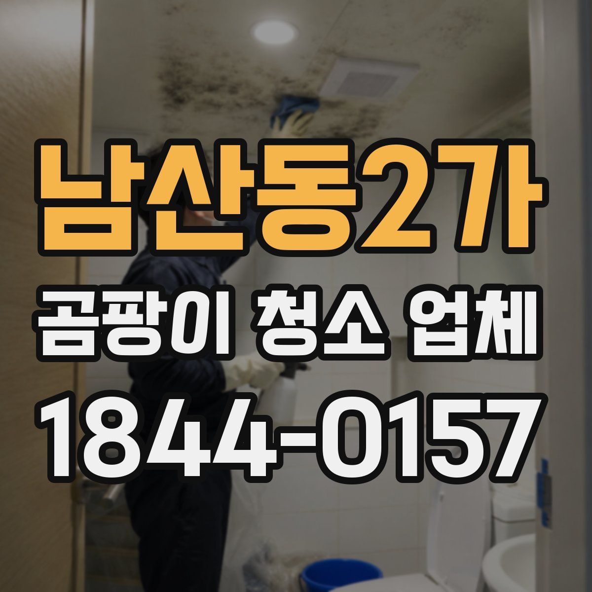 남산동2가 곰팡이 청소 업체