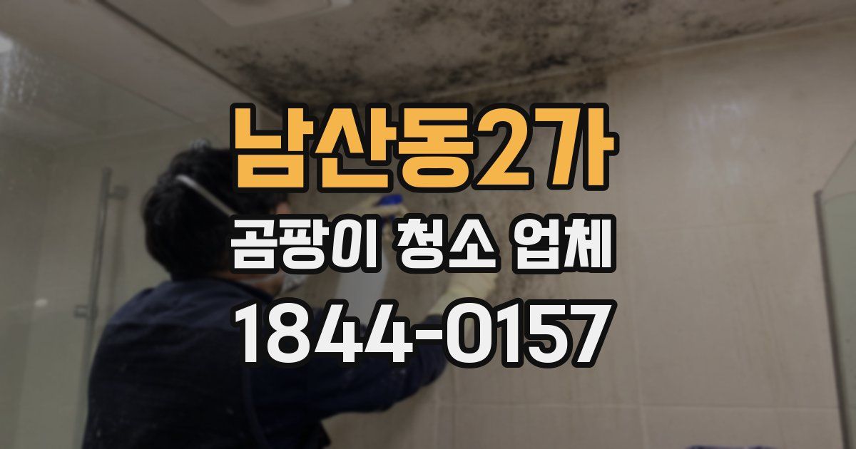 남산동2가 곰팡이 청소 업체