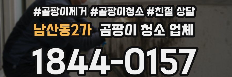남산동2가 곰팡이 청소 업체