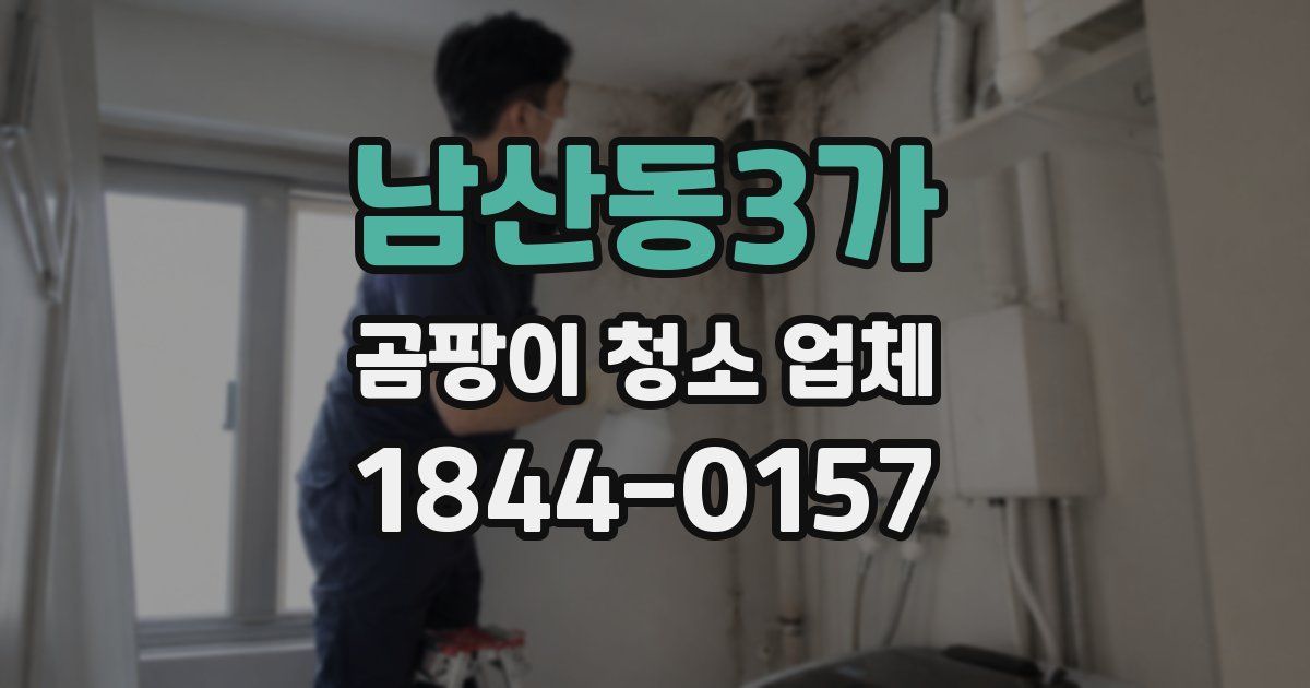 남산동3가 곰팡이 청소 업체