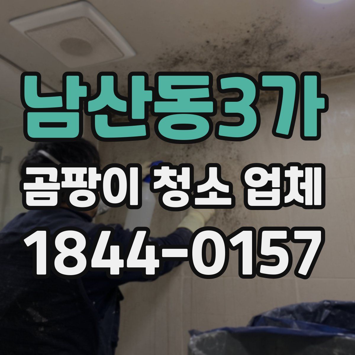 남산동3가 곰팡이 청소 업체
