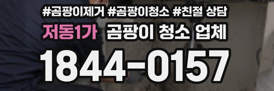 저동1가 곰팡이 청소 업체