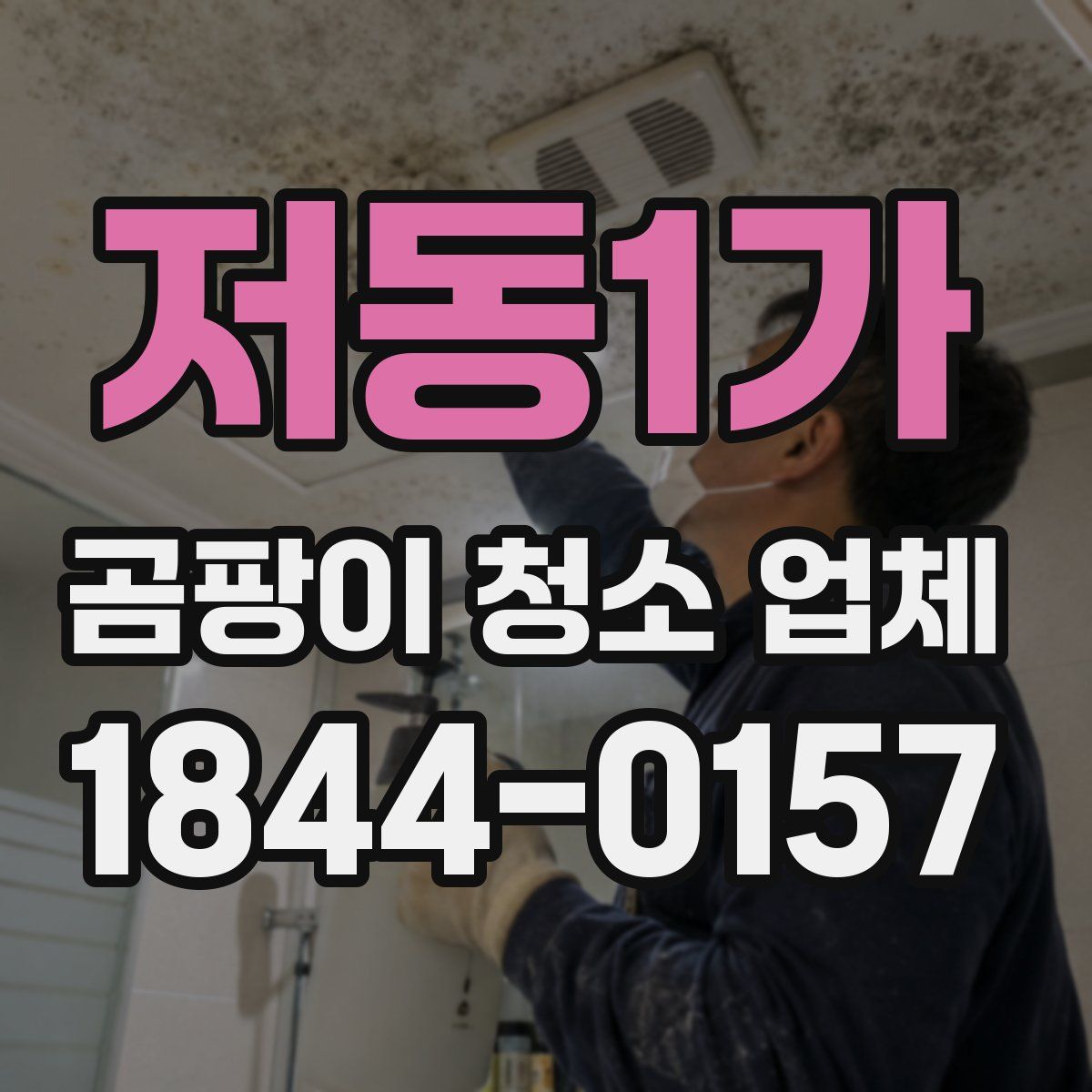 저동1가 곰팡이 청소 업체