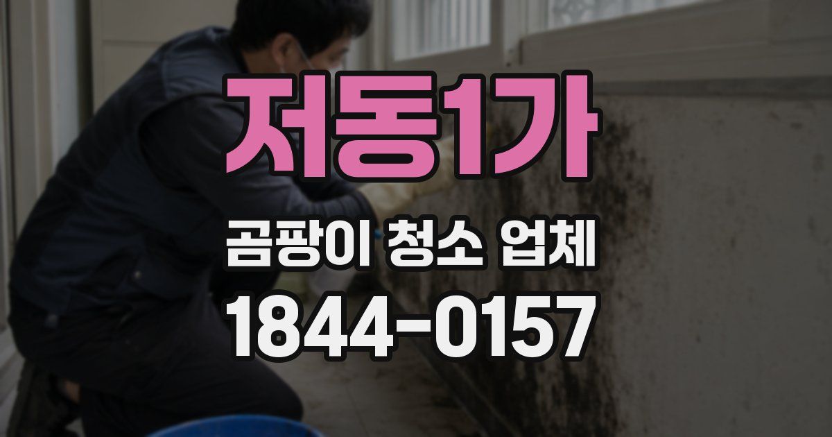 저동1가 곰팡이 청소 업체