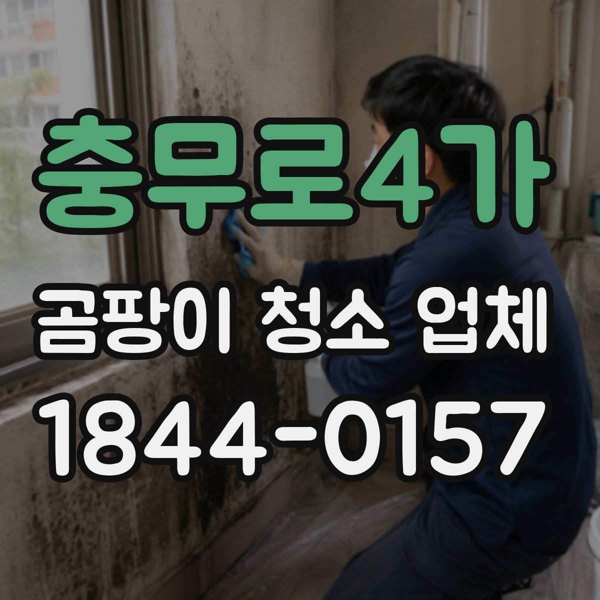 충무로4가 곰팡이 청소 업체 활용 전 알아두면 좋은 점