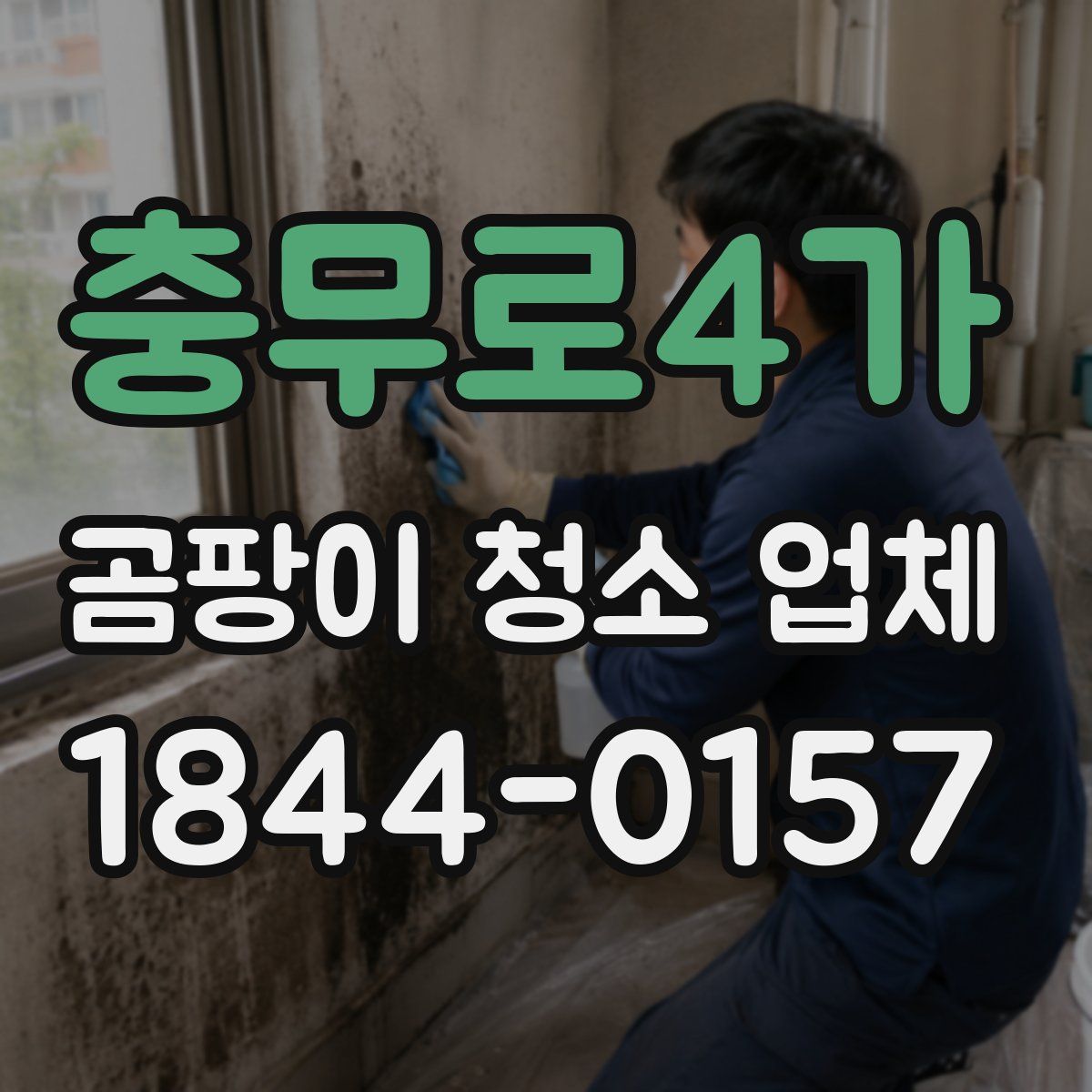 충무로4가 곰팡이 청소 업체