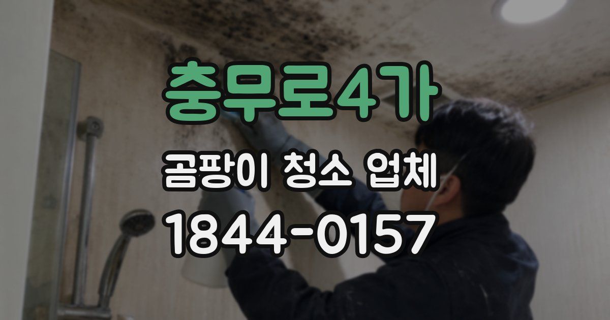 충무로4가 곰팡이 청소 업체