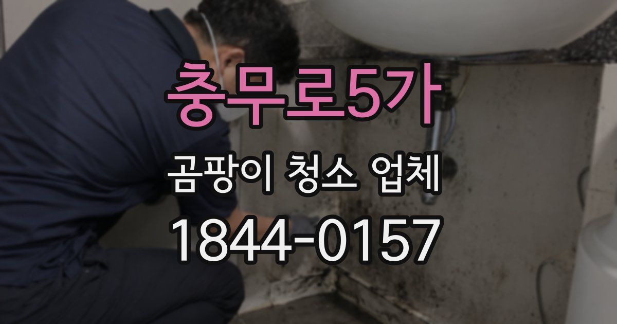 충무로5가 곰팡이 청소 업체