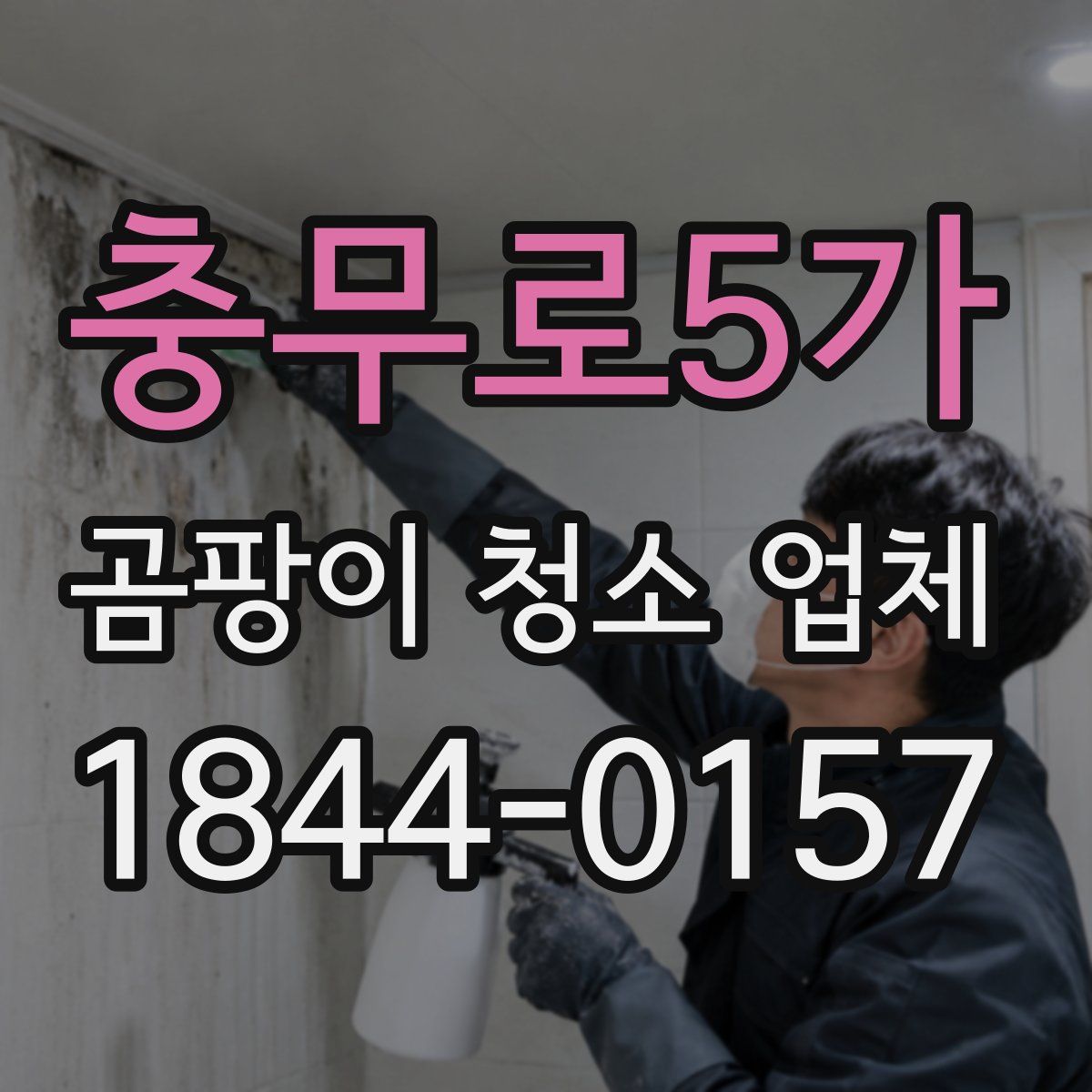 충무로5가 곰팡이 청소 업체