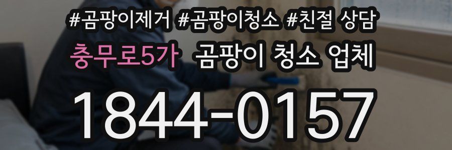 충무로5가 곰팡이 청소 업체