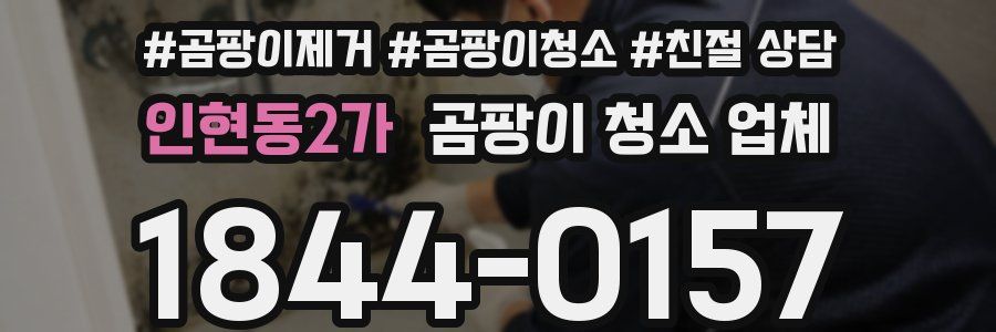 인현동2가 곰팡이 청소 업체