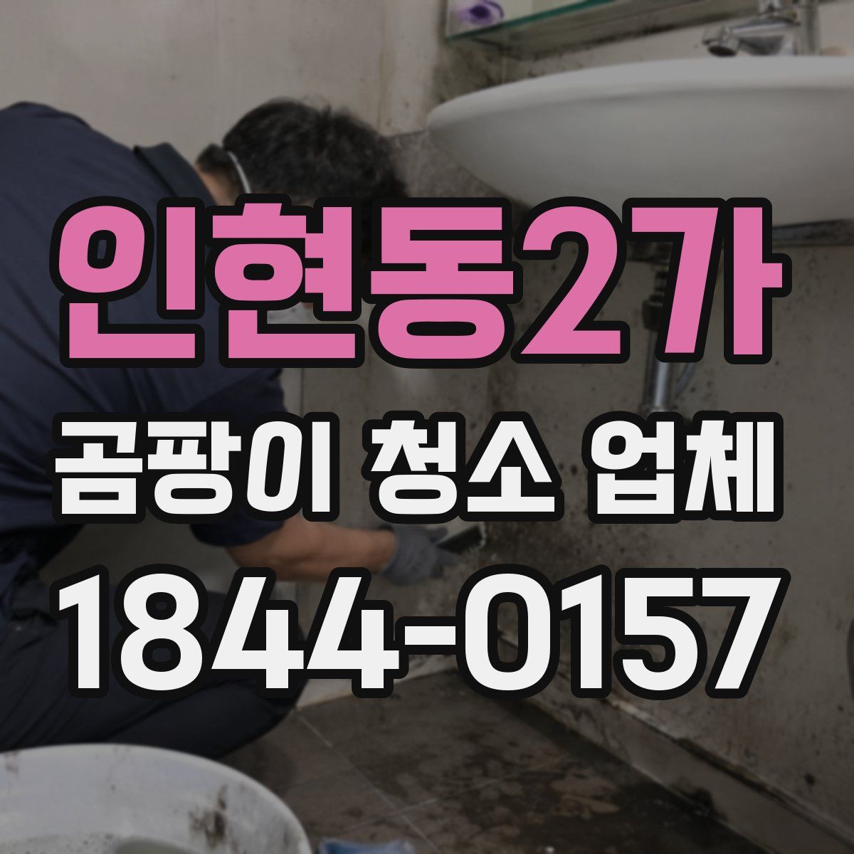 인현동2가 곰팡이 청소 업체
