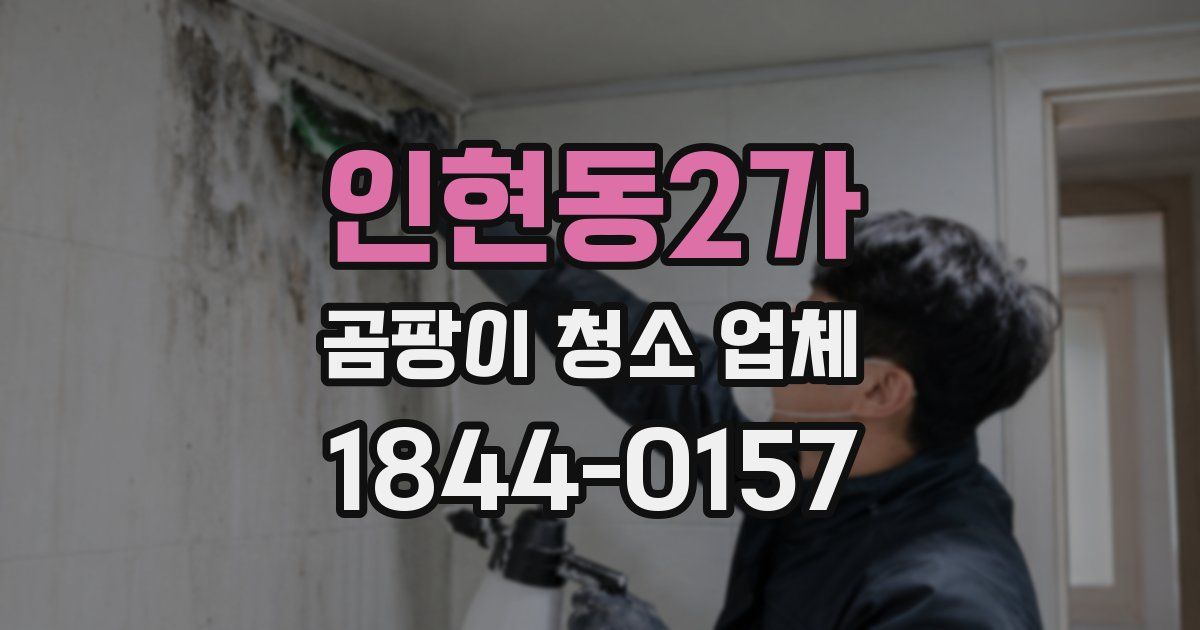인현동2가 곰팡이 청소 업체