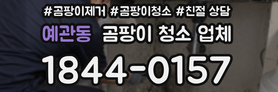 예관동 곰팡이 청소 업체