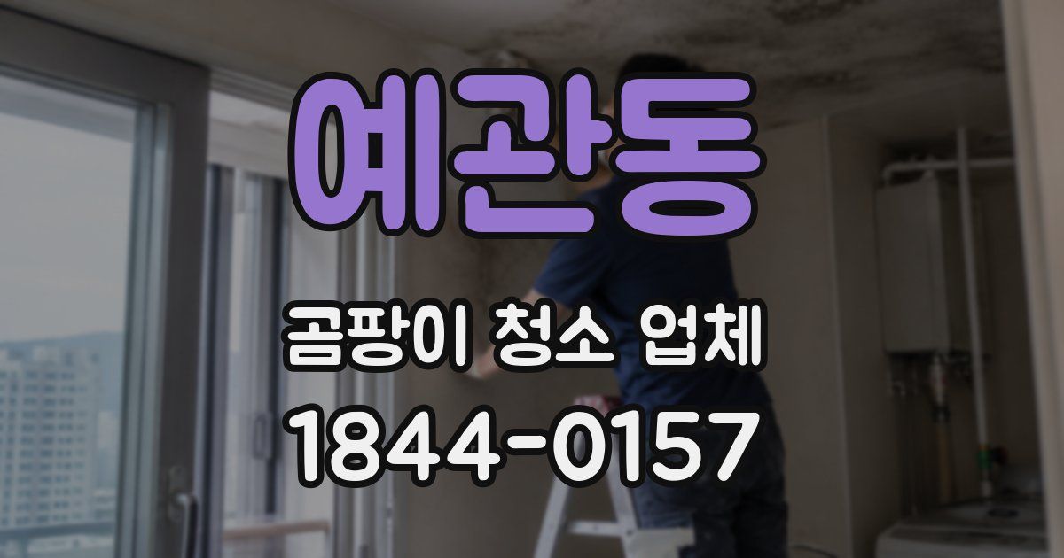 예관동 곰팡이 청소 업체