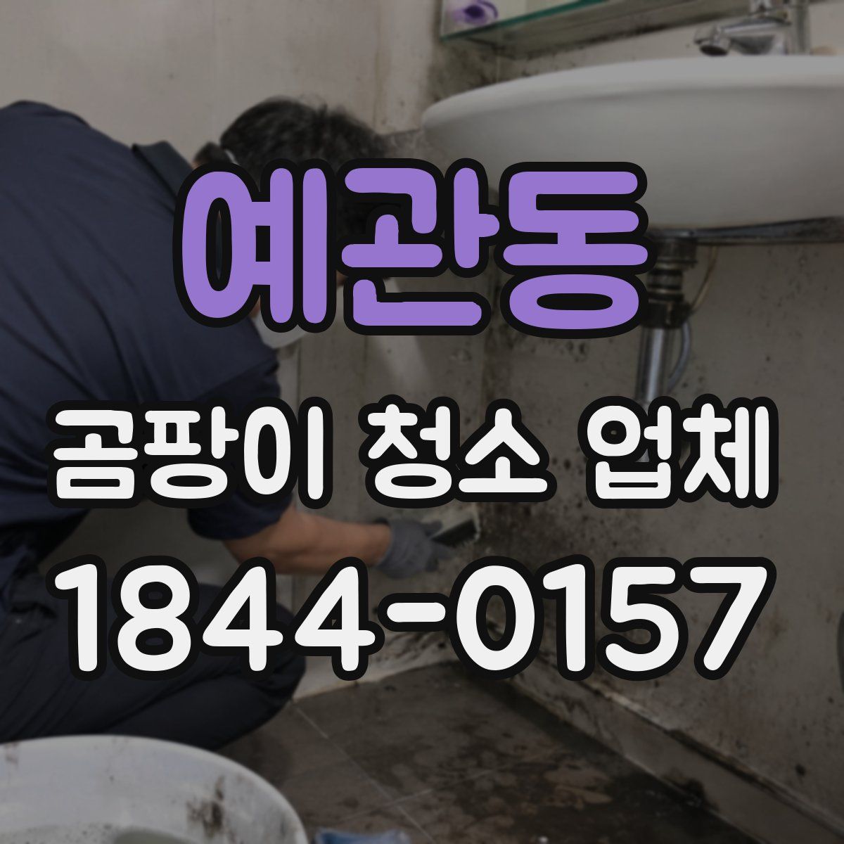 예관동 곰팡이 청소 업체