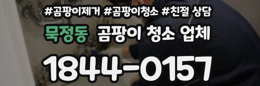묵정동 곰팡이 청소 업체