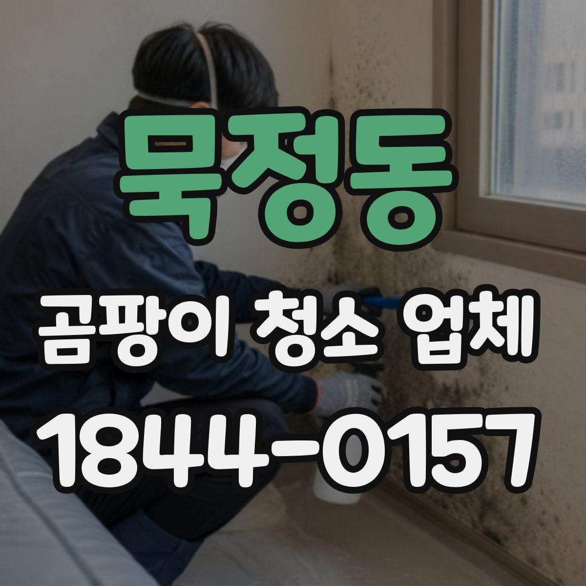 묵정동 곰팡이 청소 업체