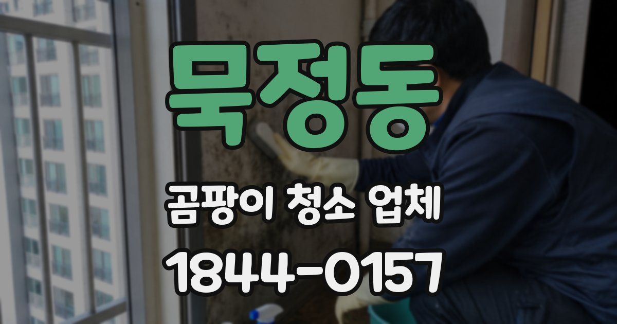 묵정동 곰팡이 청소 업체