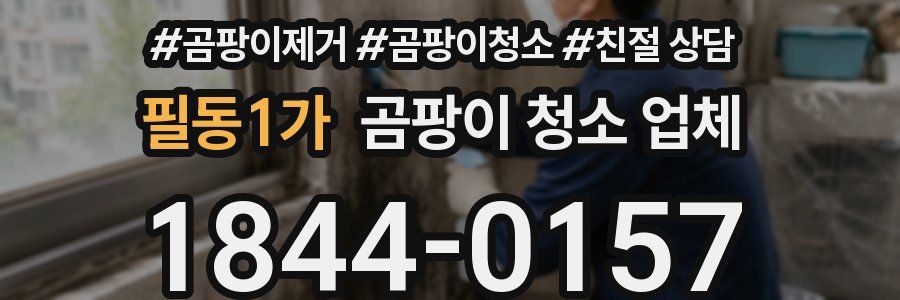 필동1가 곰팡이 청소 업체