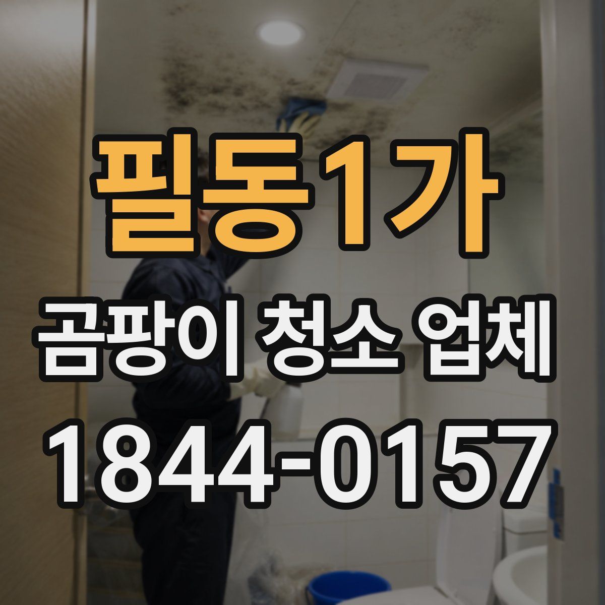 필동1가 곰팡이 청소 업체