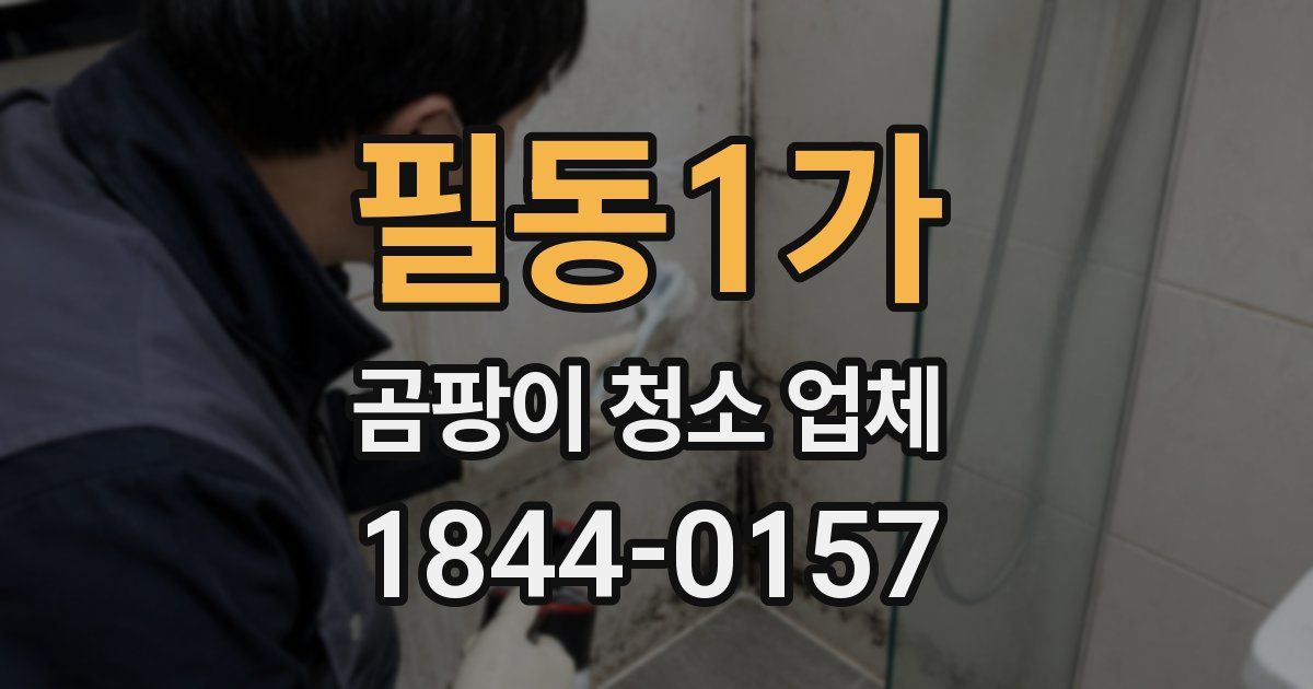 필동1가 곰팡이 청소 업체