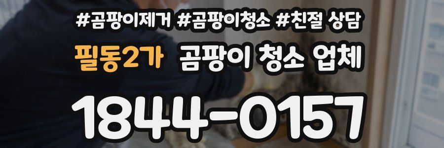 필동2가 곰팡이 청소 업체