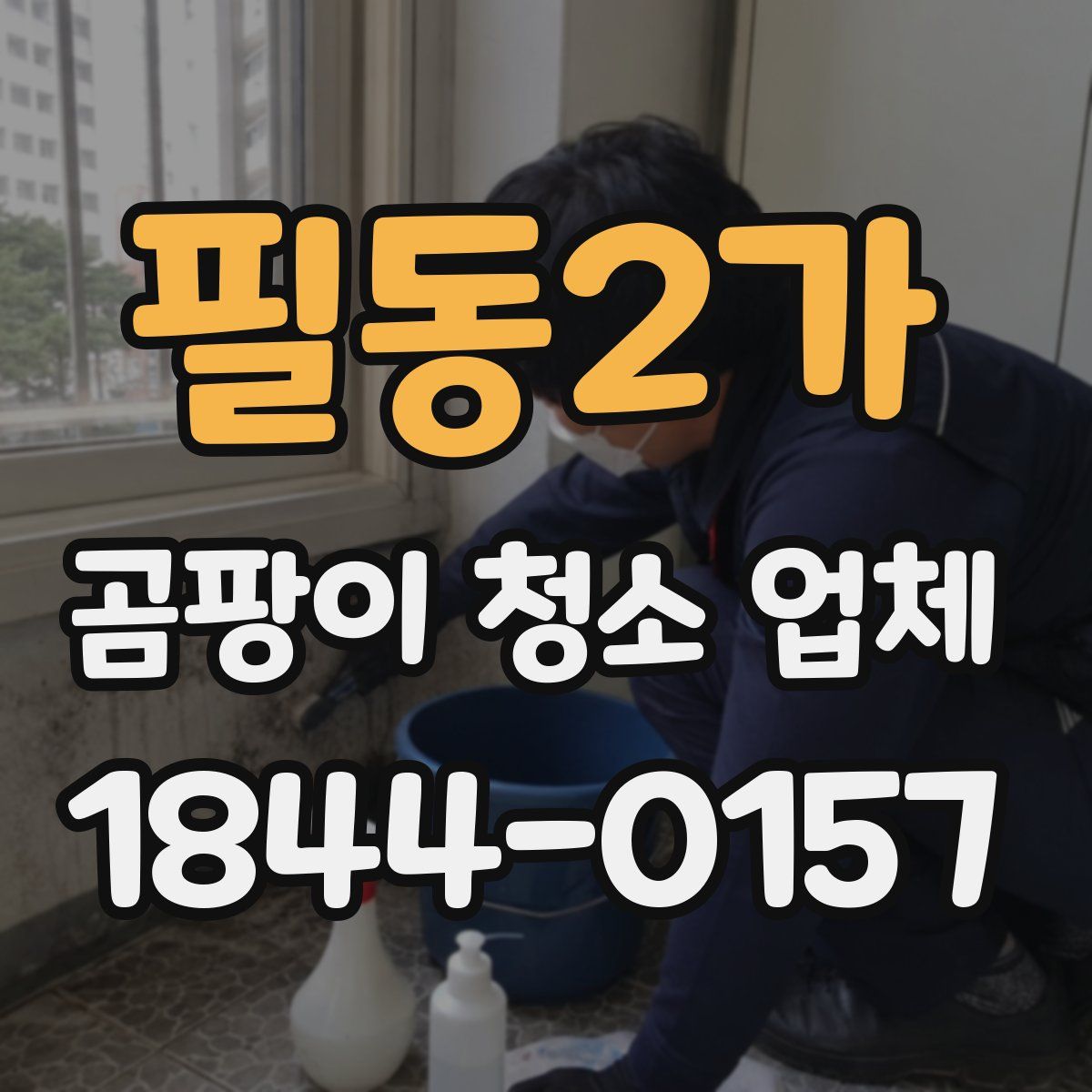 필동2가 곰팡이 청소 업체