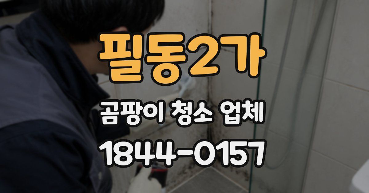 필동2가 곰팡이 청소 업체