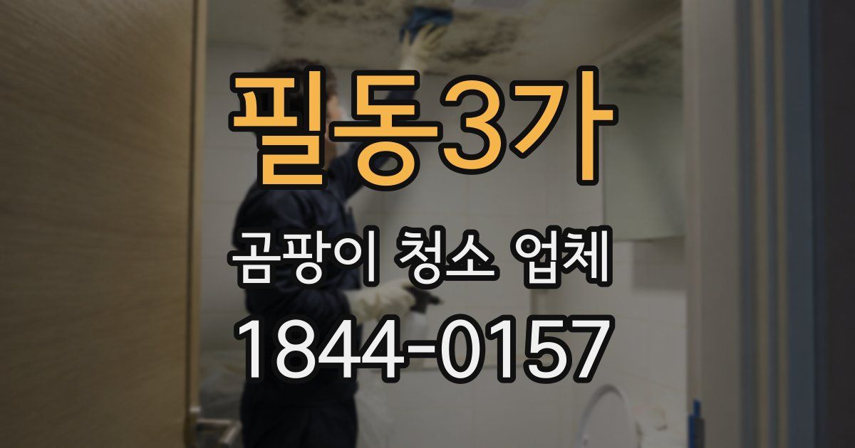 필동3가 곰팡이 청소 업체