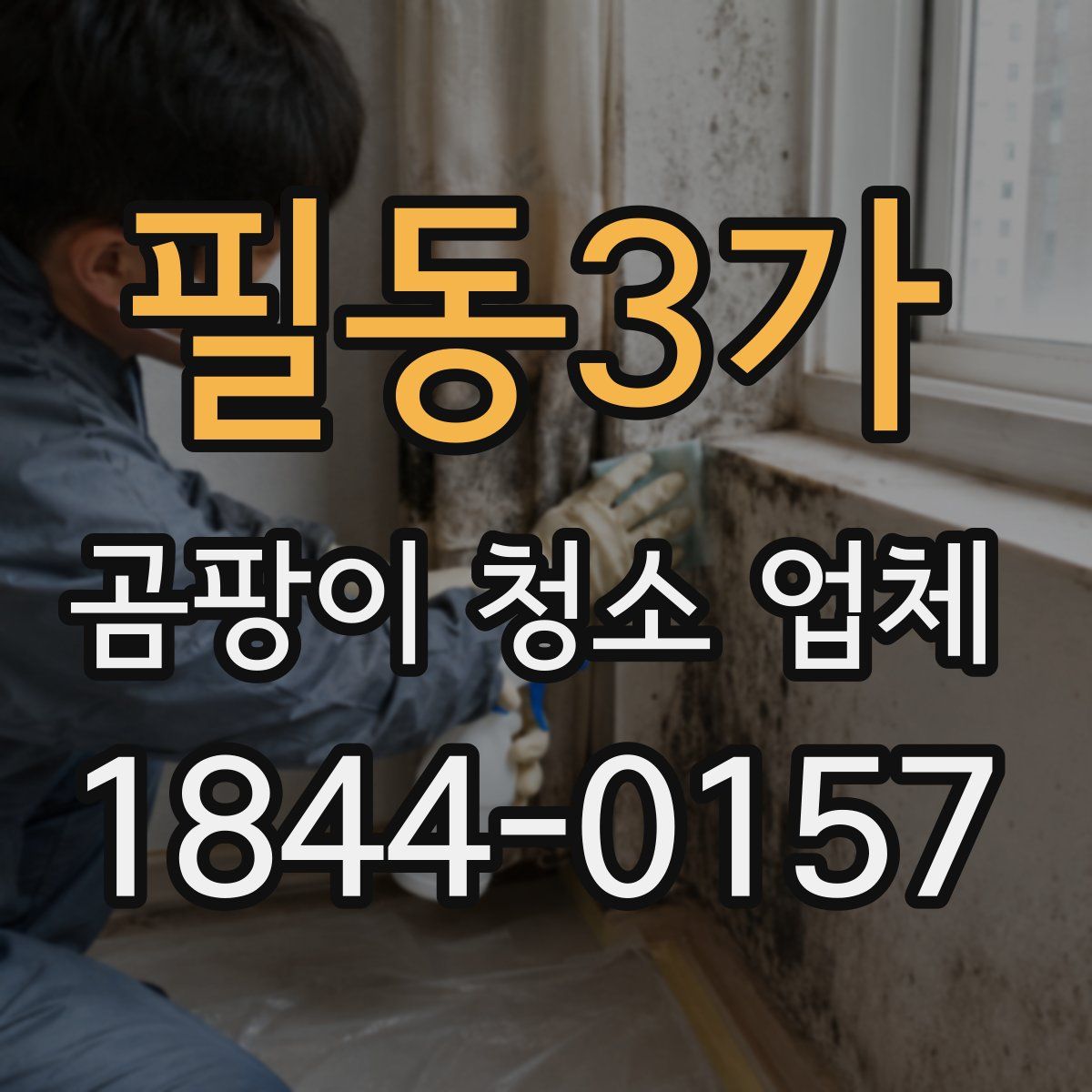 필동3가 곰팡이 청소 업체