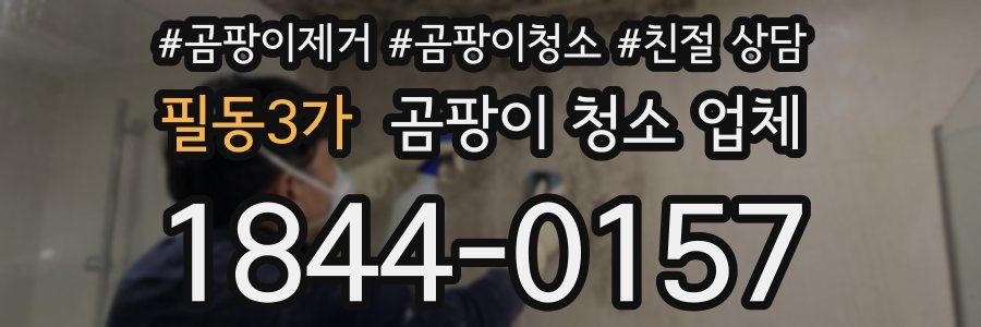 필동3가 곰팡이 청소 업체