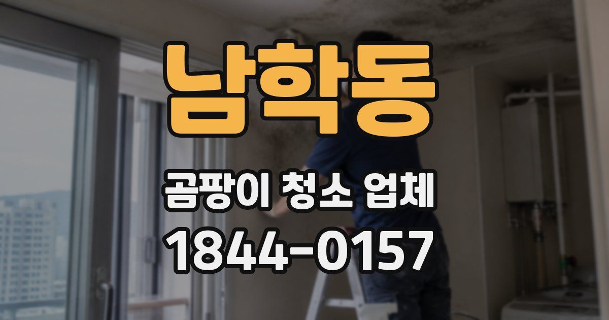 남학동 곰팡이 청소 업체