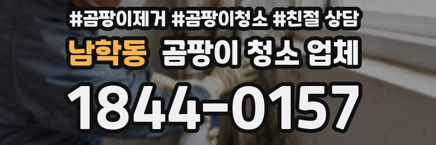 남학동 곰팡이 청소 업체